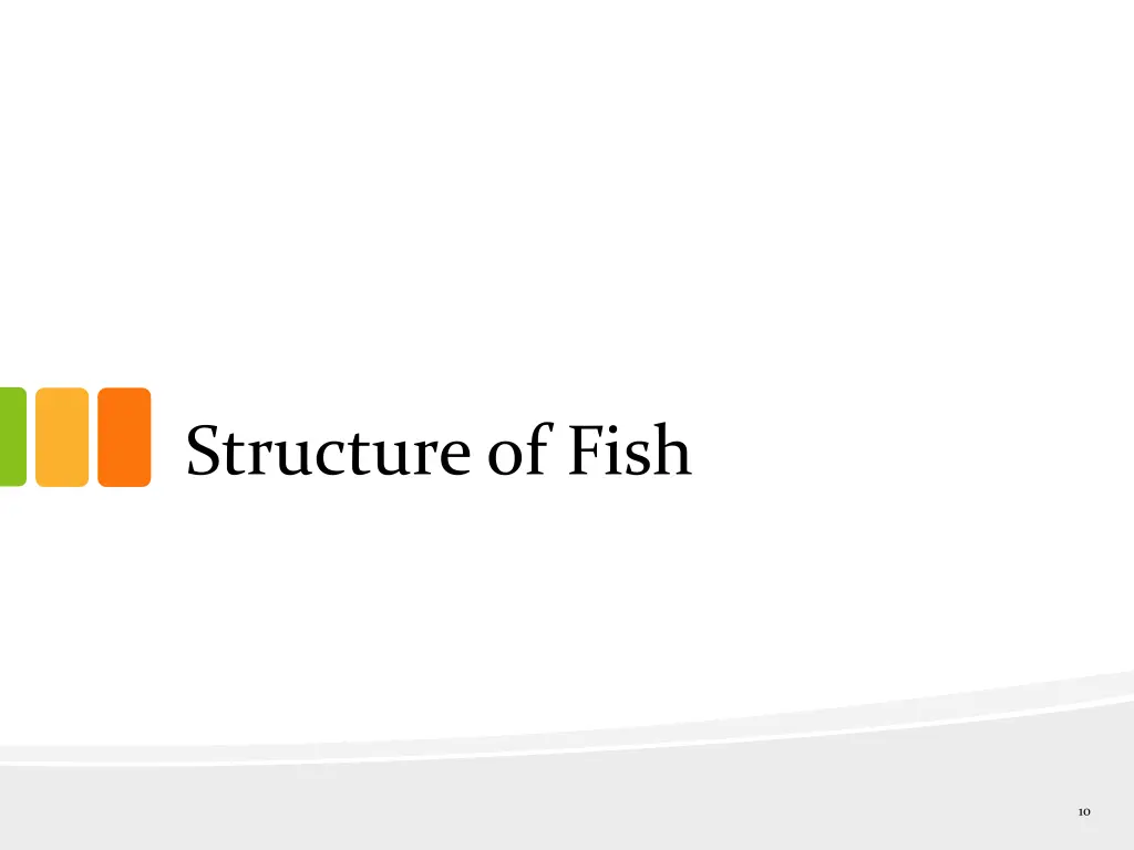 structure of fish