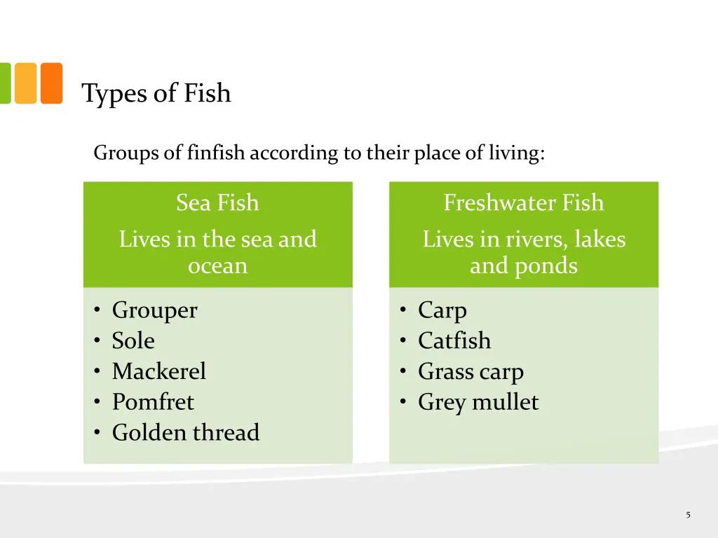 types of fish 2