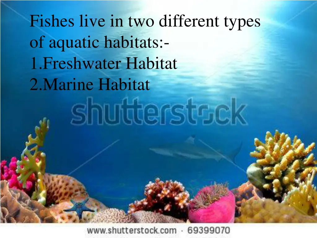 fishes live in two different types of aquatic