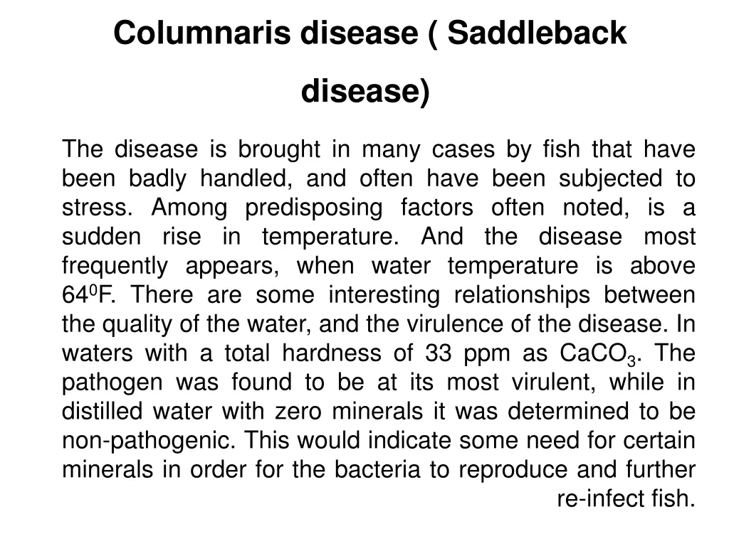 columnaris disease saddleback