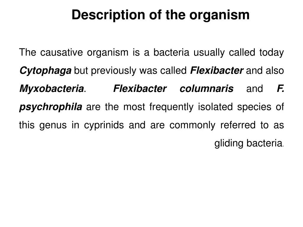 description of the organism