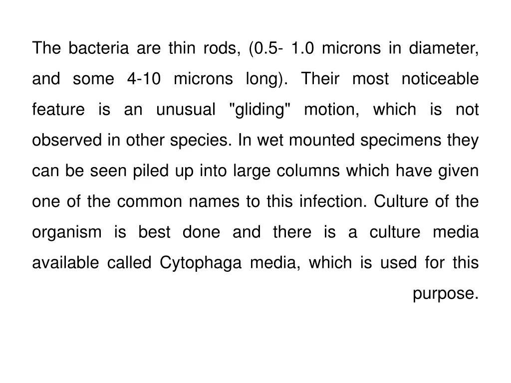 the bacteria are thin rods 0 5 1 0 microns