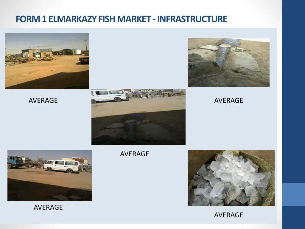 form 1 elmarkazy fish market infrastructure