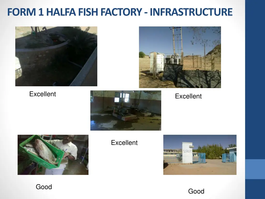 form 1 halfa fish factory infrastructure