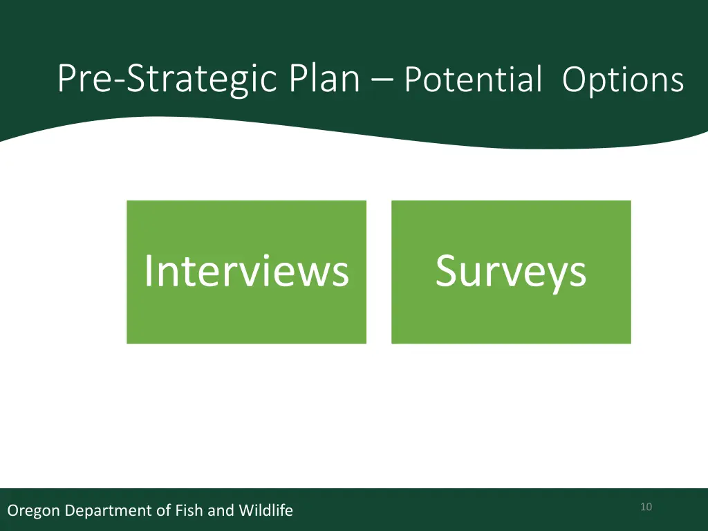 pre strategic plan potential options