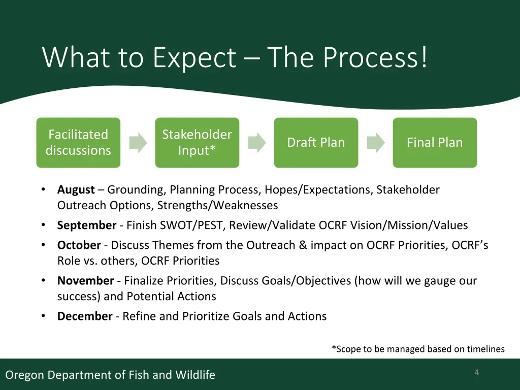 what to expect the process