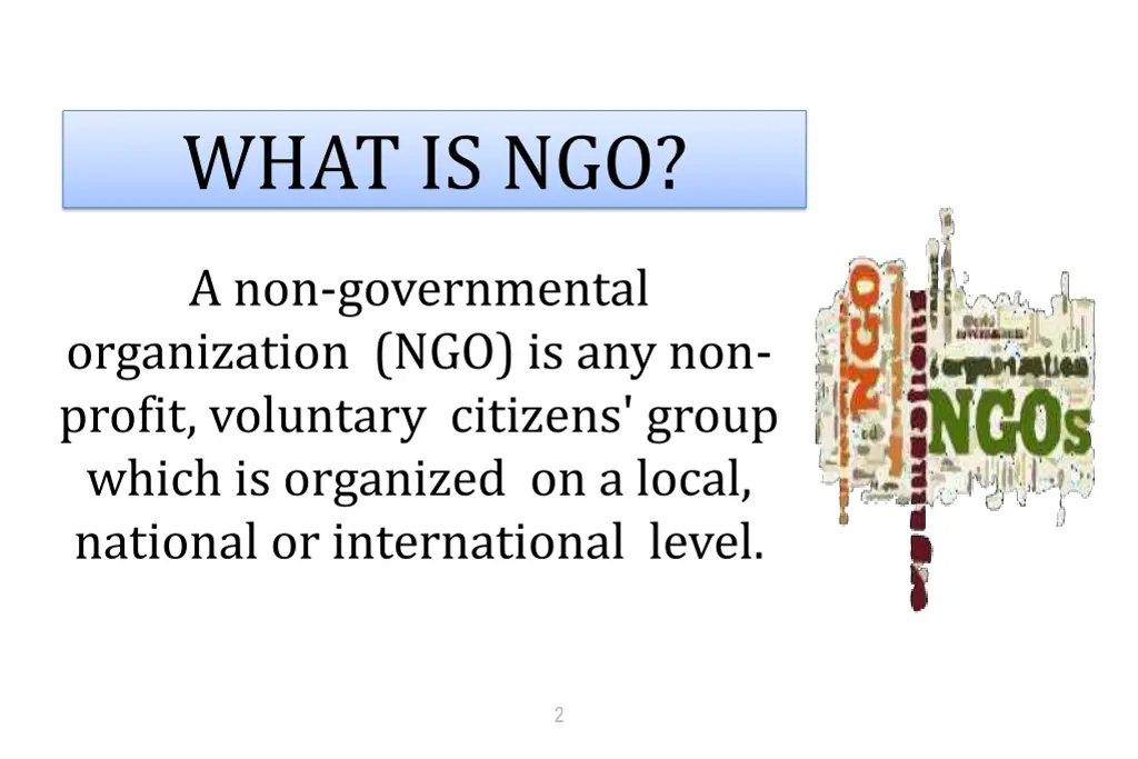 what is ngo