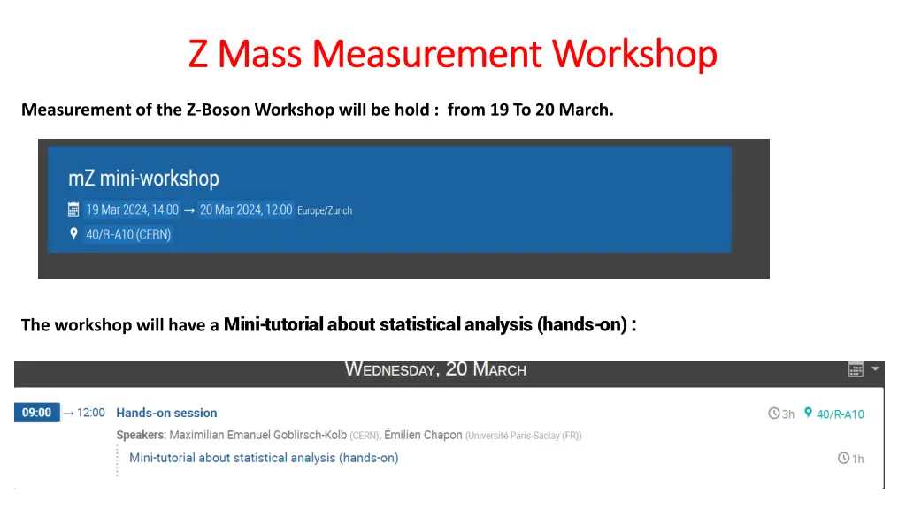 z mass measurement workshop z mass measurement