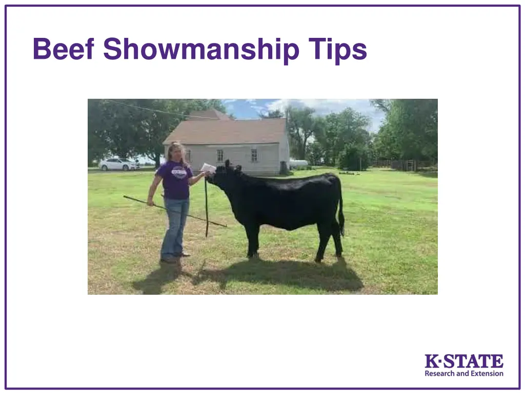 beef showmanship tips