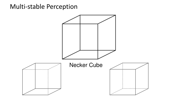 multi stable perception