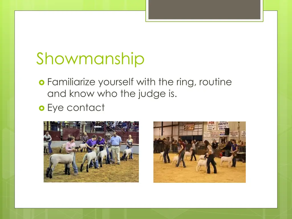 showmanship 1