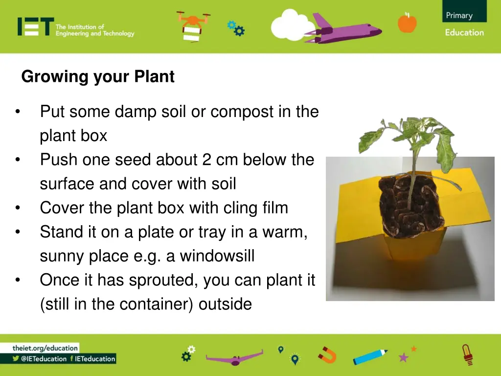 growing your plant