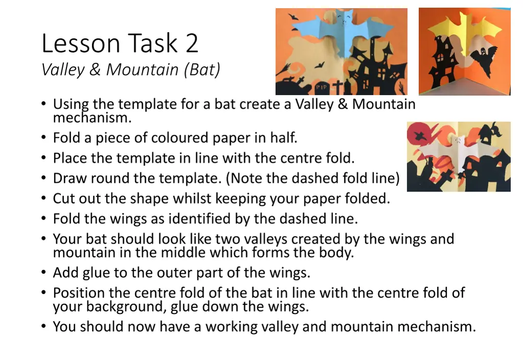 lesson task 2 valley mountain bat