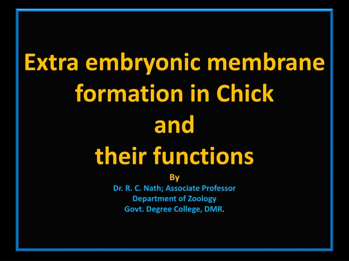 extra embryonic membrane formation in chick