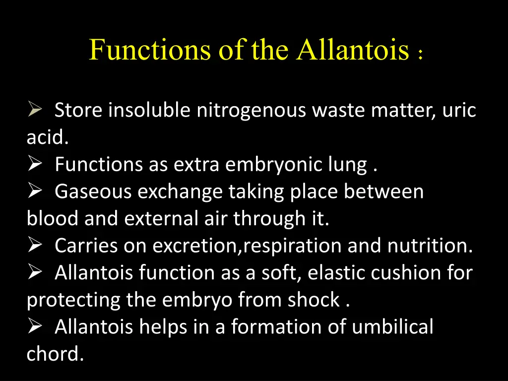 functions of the allantois