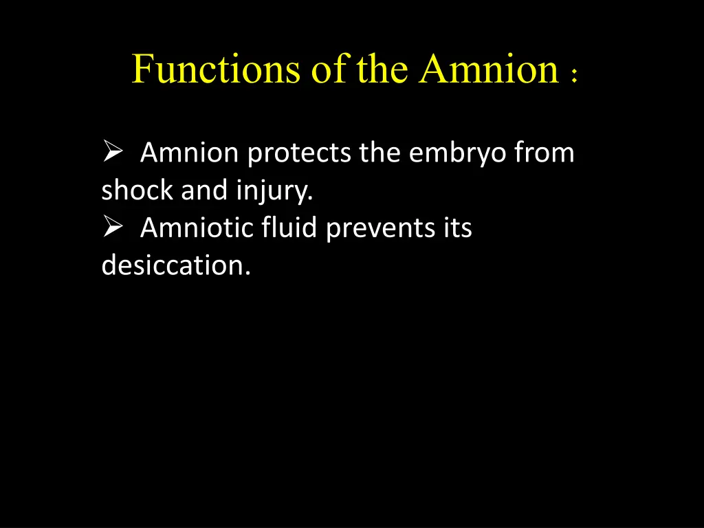 functions of the amnion