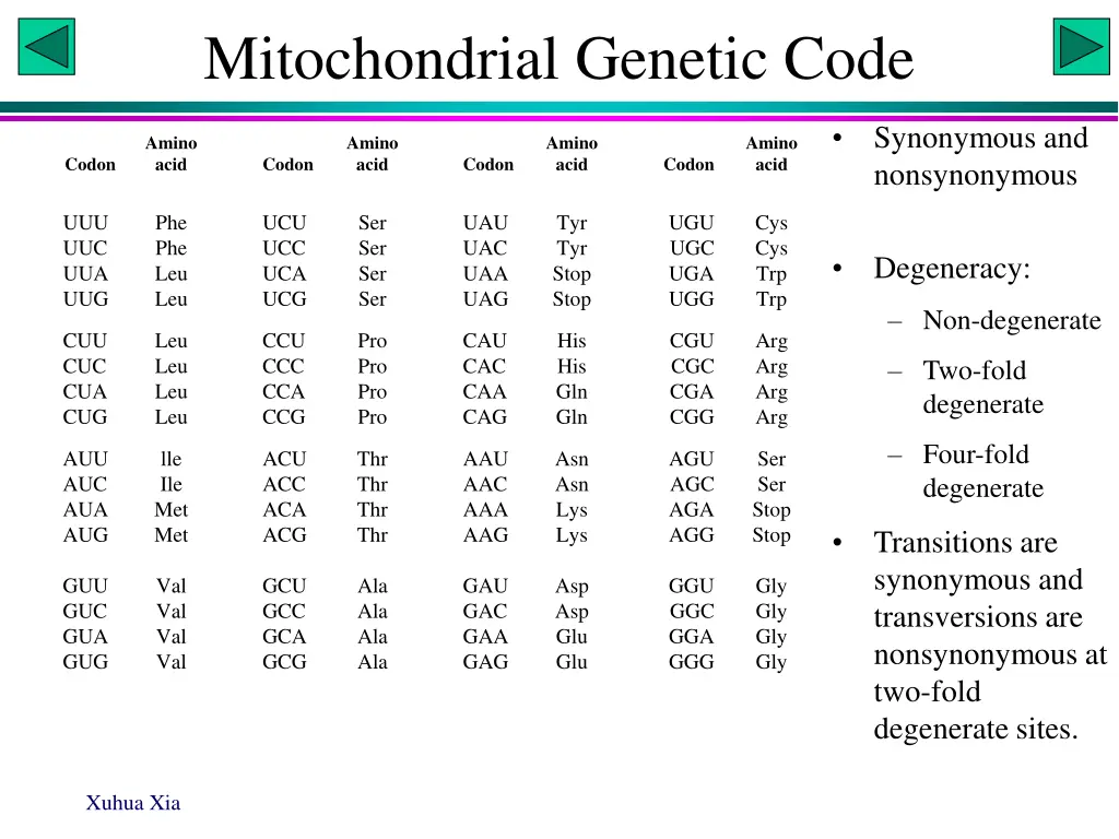 mitochondrial genetic code