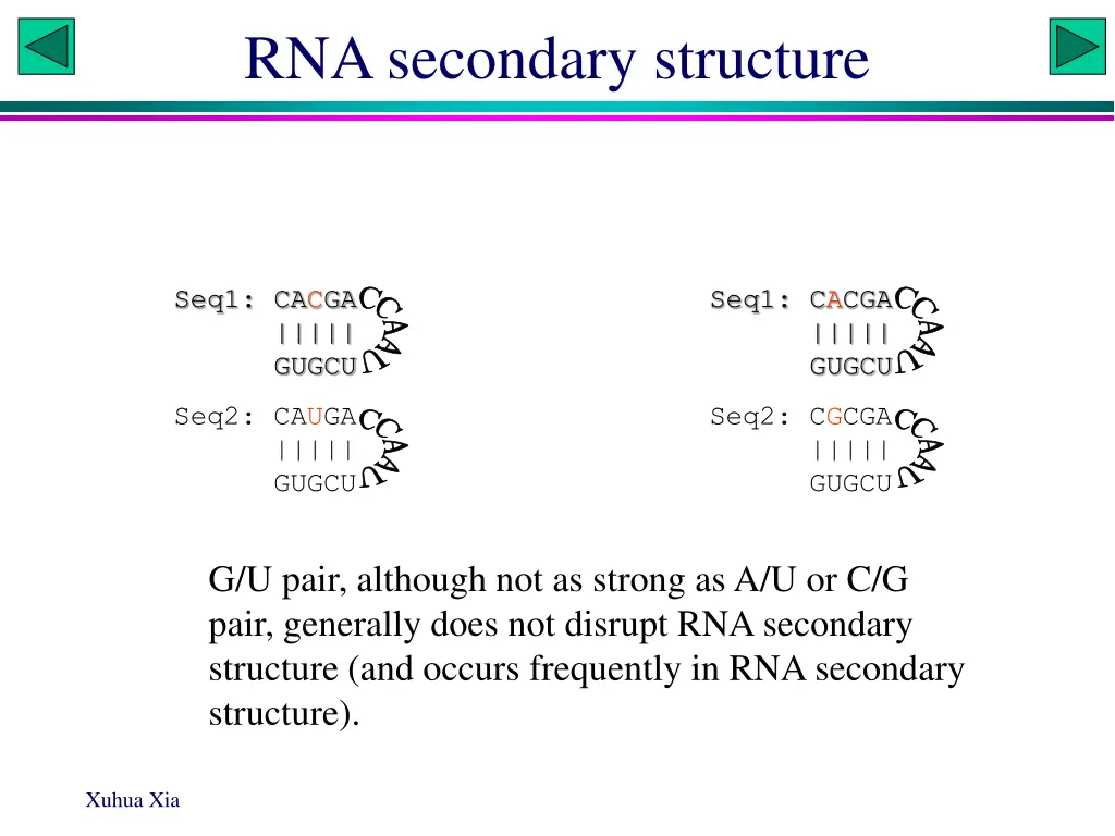 rna secondary structure