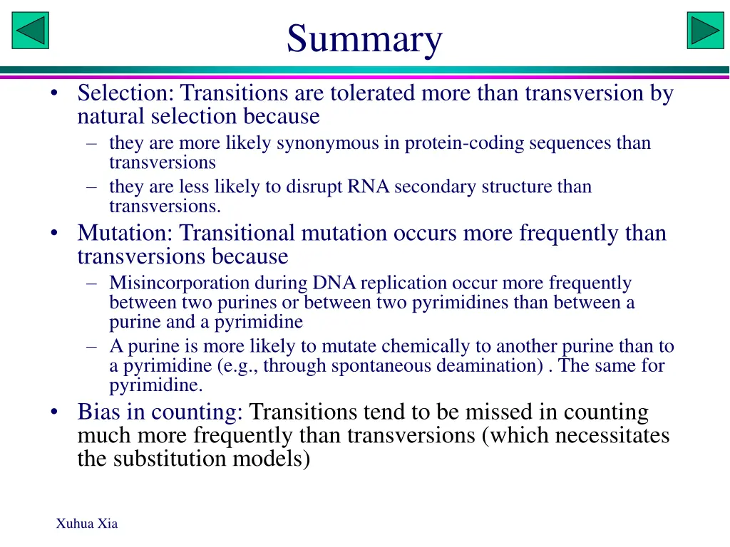 summary