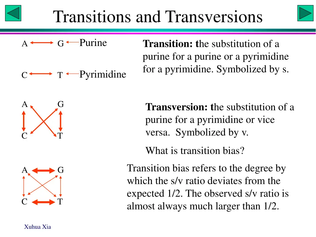 transitions and transversions