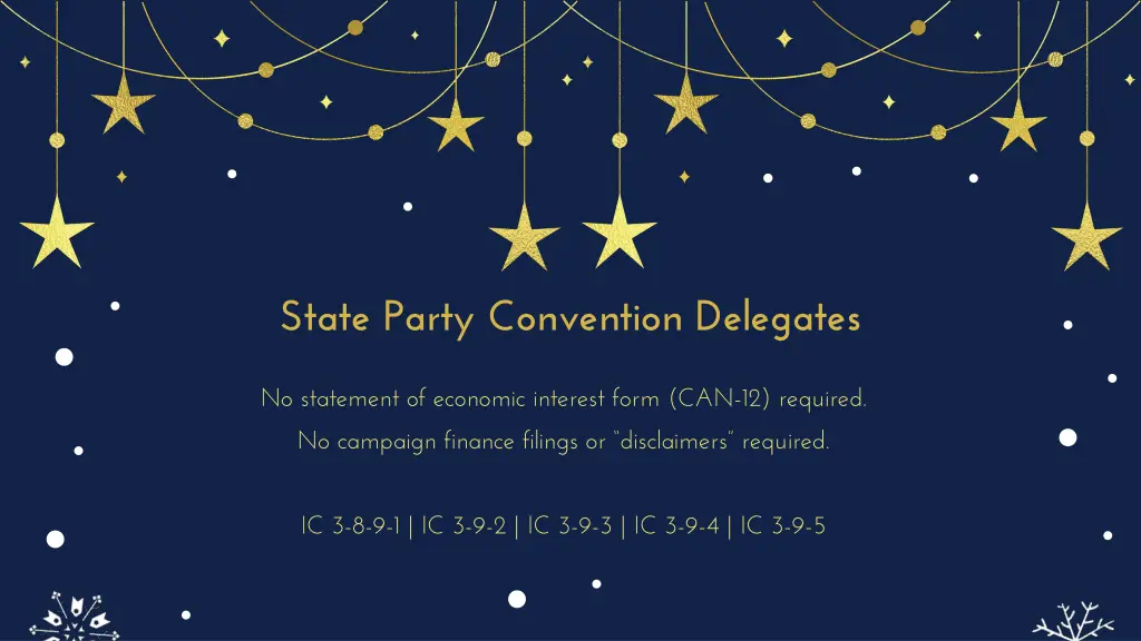 state party convention delegates