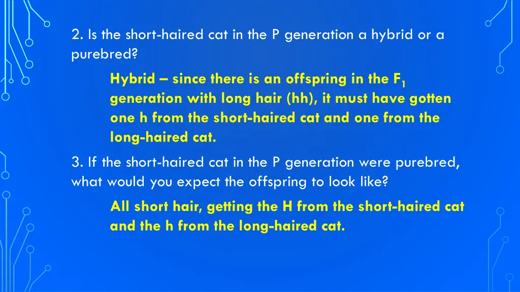 2 is the short haired cat in the p generation