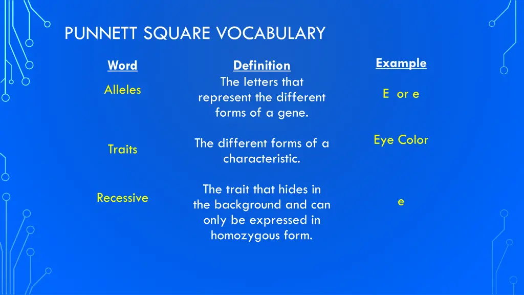 punnett square vocabulary