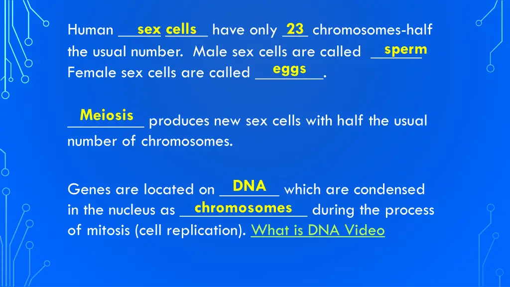 sex cells