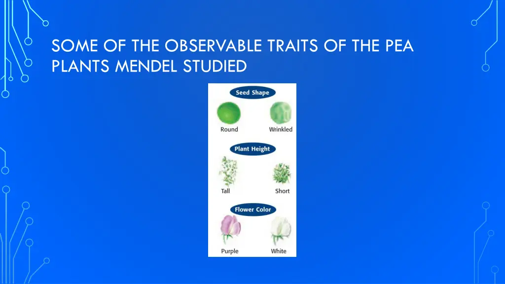 some of the observable traits of the pea plants