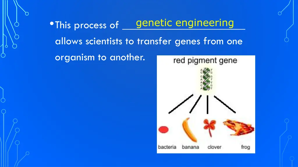 this process of allows scientists to transfer