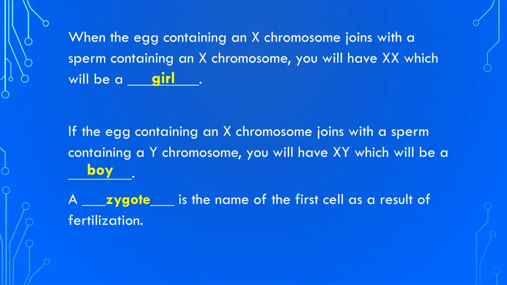 when the egg containing an x chromosome joins