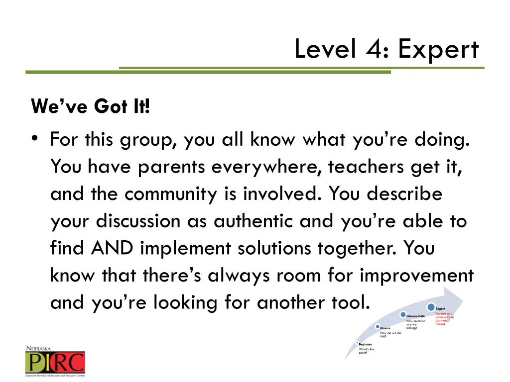 level 4 expert