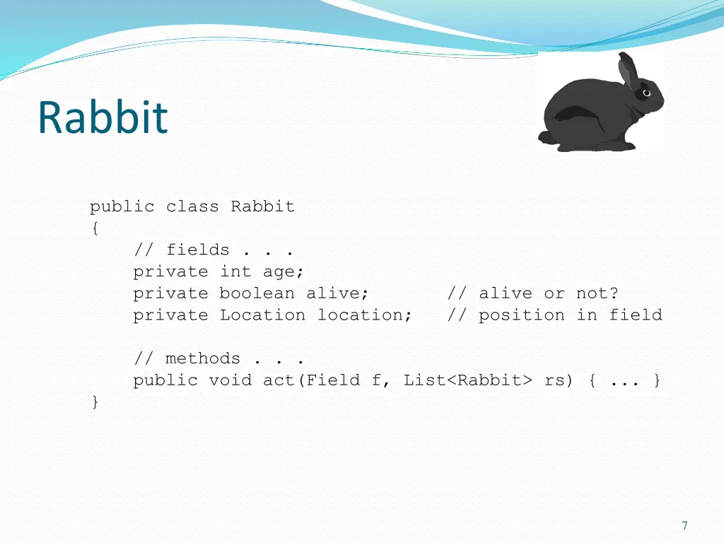 rabbit