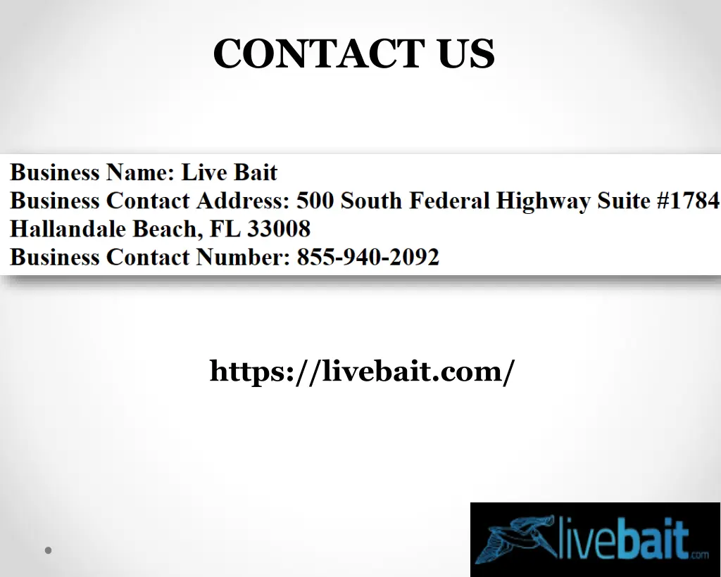 contact us