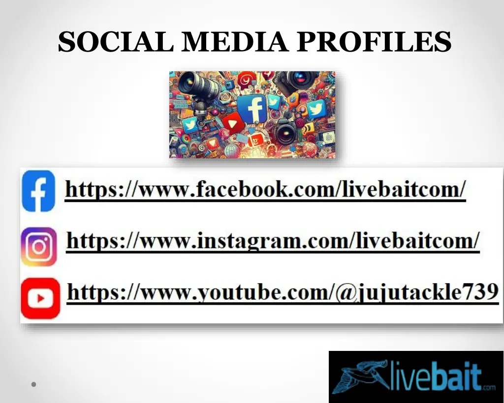 social media profiles