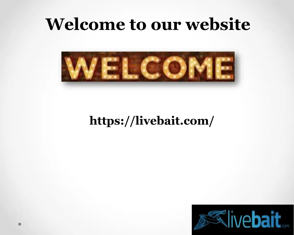 welcome to our website