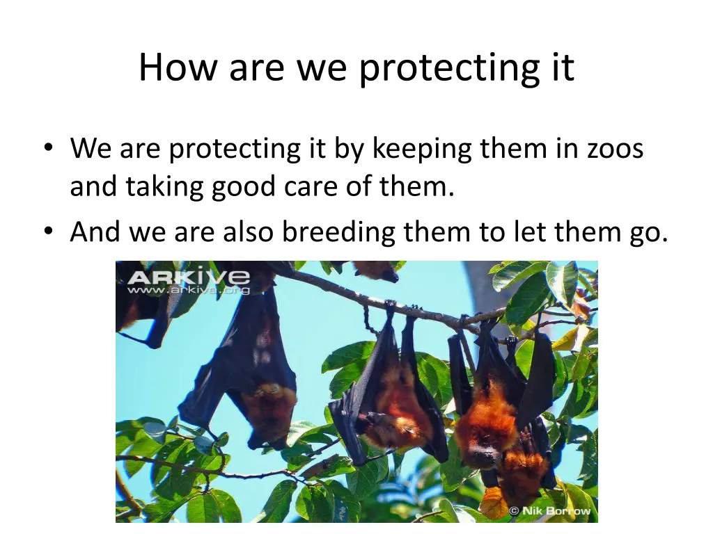 how are we protecting it