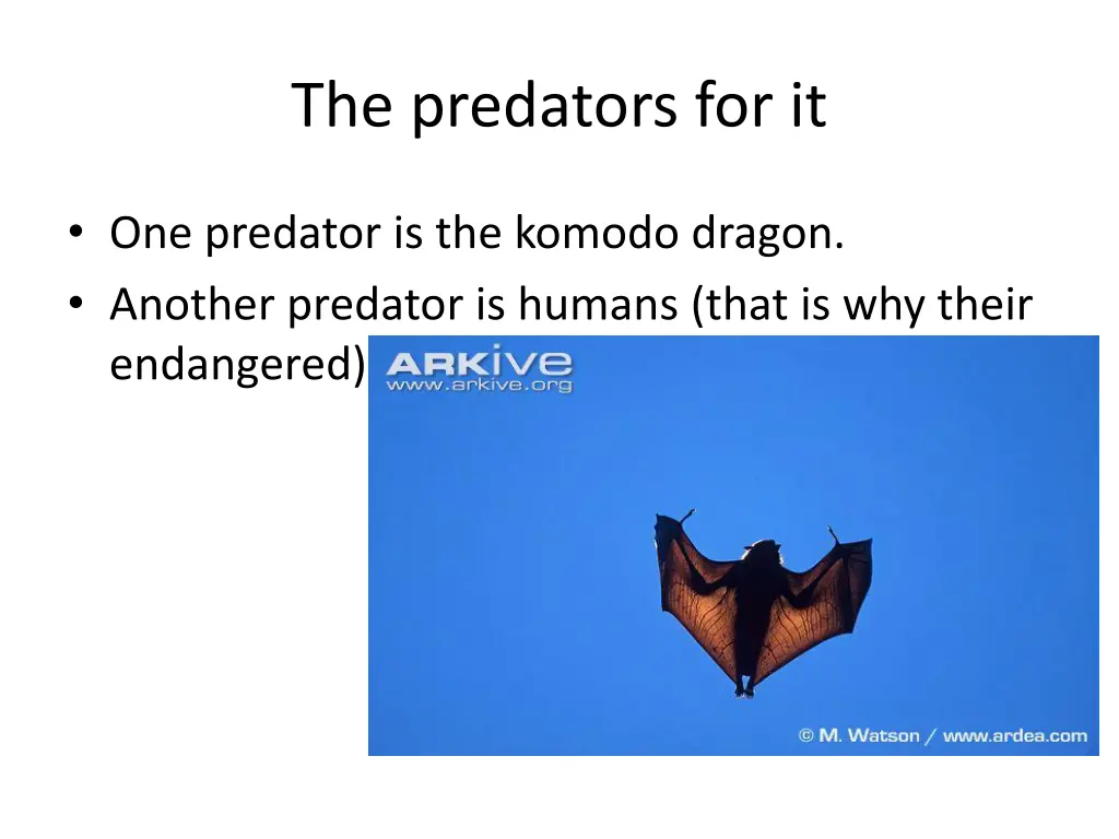 the predators for it