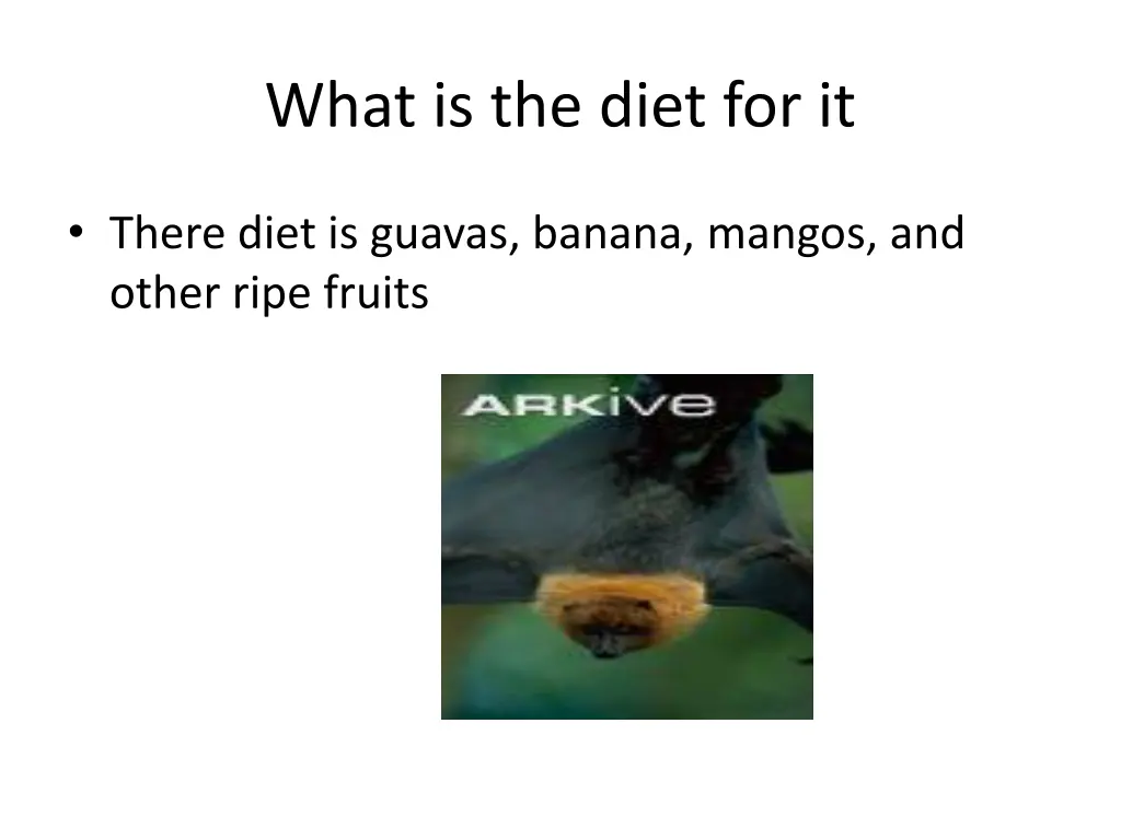 what is the diet for it