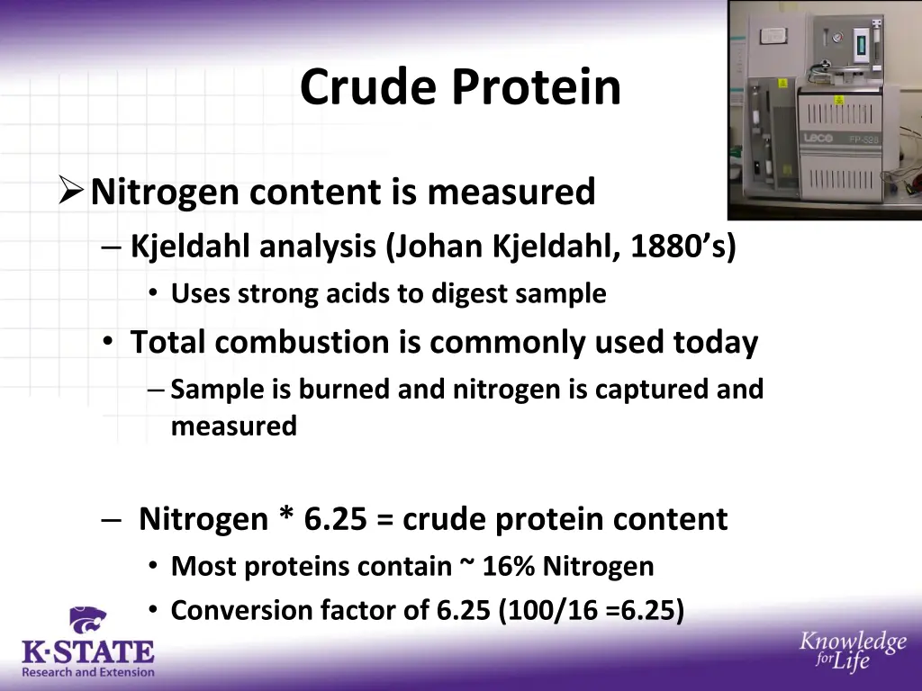 crude protein