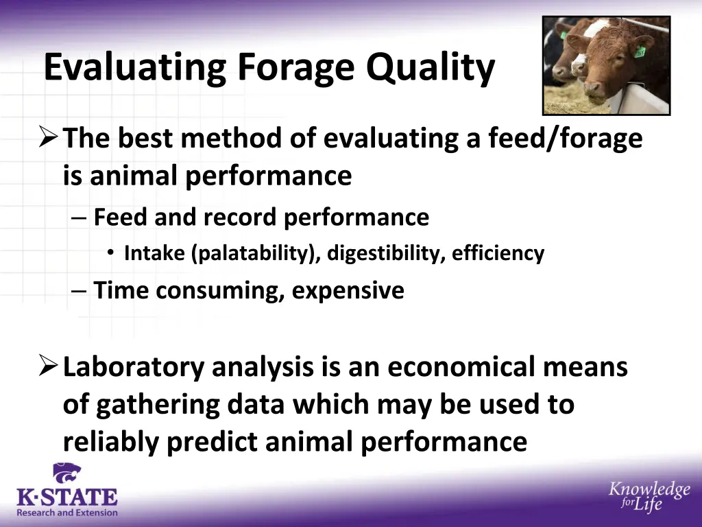 evaluating forage quality