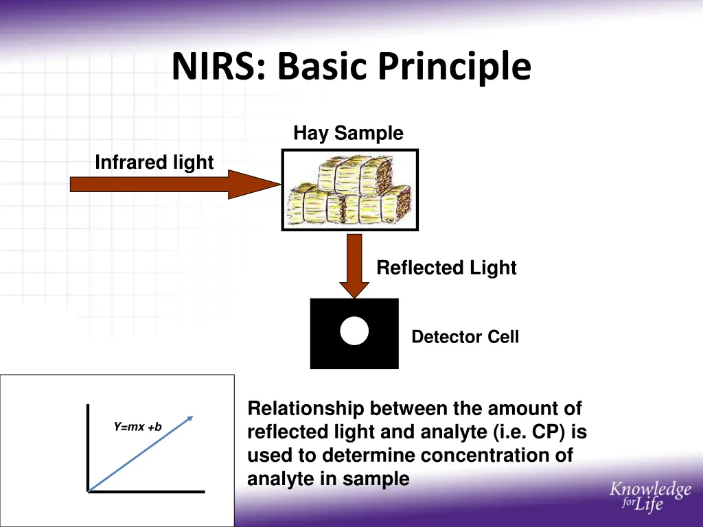 nirs basic principle