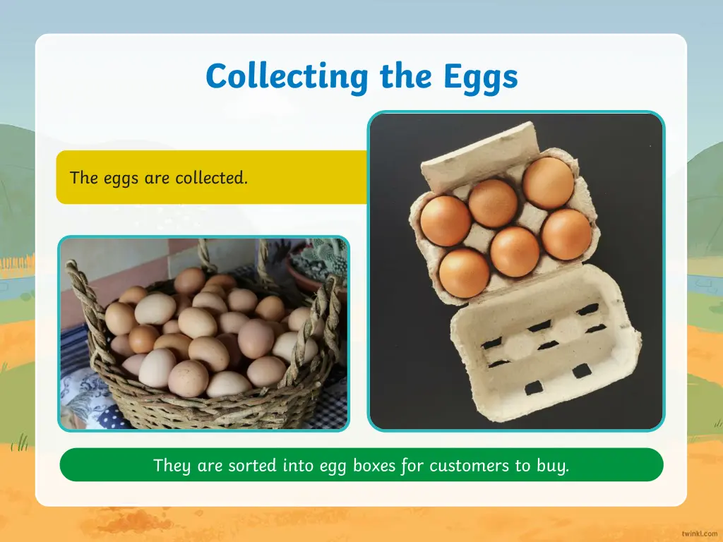 collecting the eggs 1