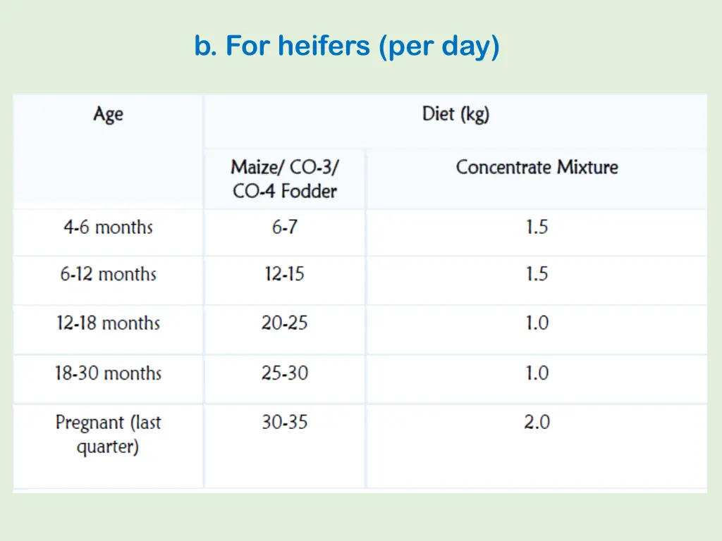 b for heifers per day