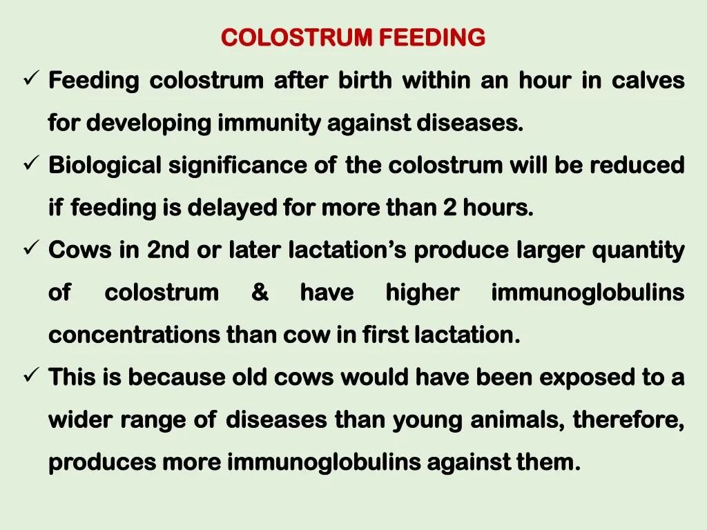 colostrum feeding colostrum feeding