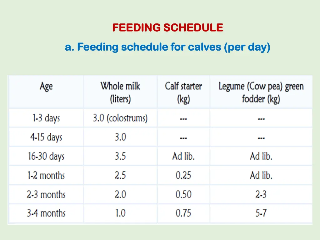 feeding schedule feeding schedule