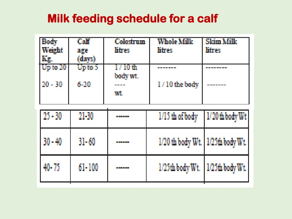 milk feeding schedule for a calf milk feeding