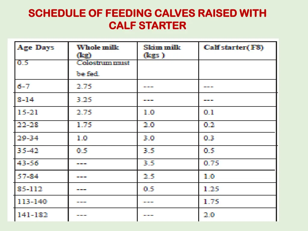 schedule of feeding calves raised with schedule