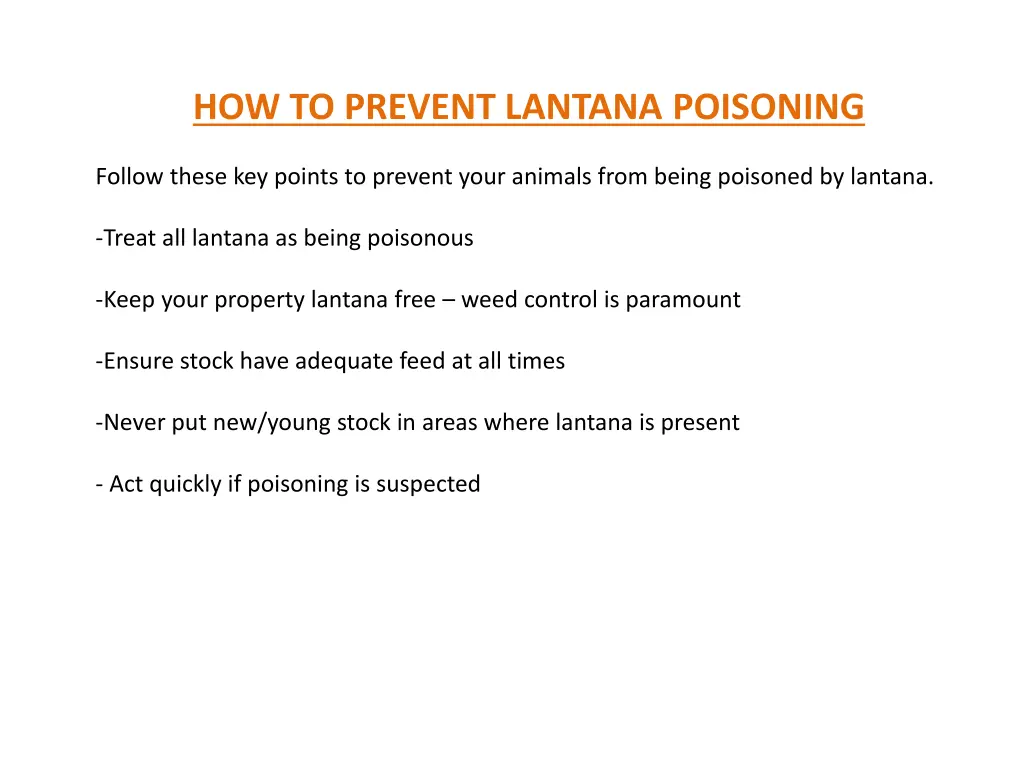 how to prevent lantana poisoning