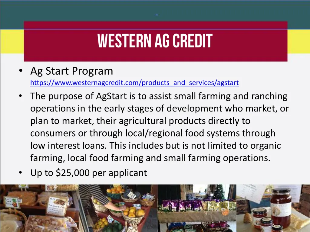 ag start program https www westernagcredit